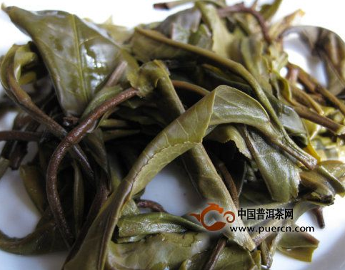 看圖來辨別普洱茶原料春、秋、夏（雨水料）